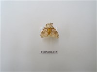 藏品(波斑毒蛾)的圖片
